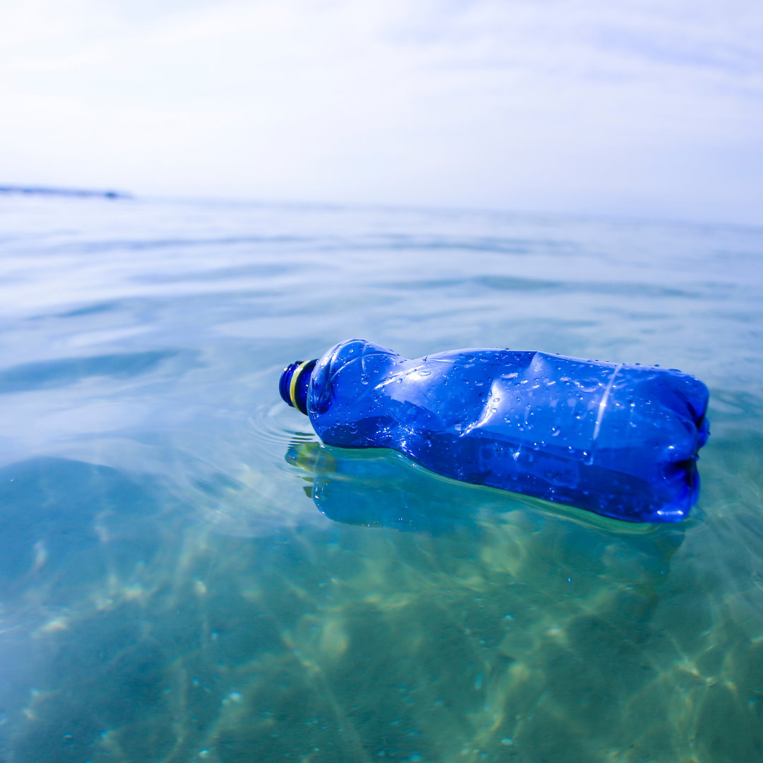 Disseny sense títol