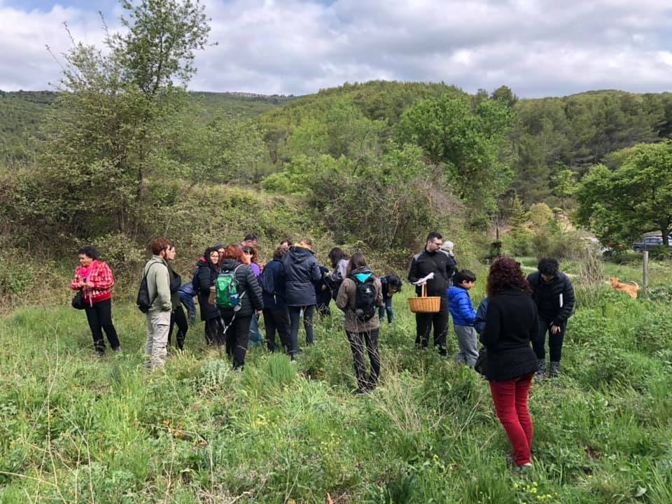 SORTIDA ETNOBOTÀNICA 4