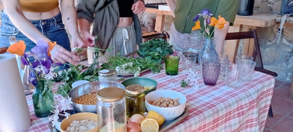 cocina silvestre